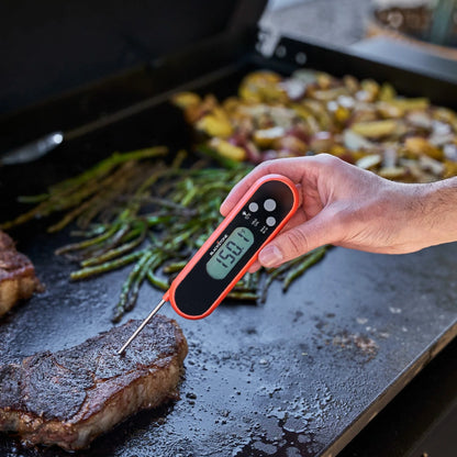 Folding Probe Thermometer