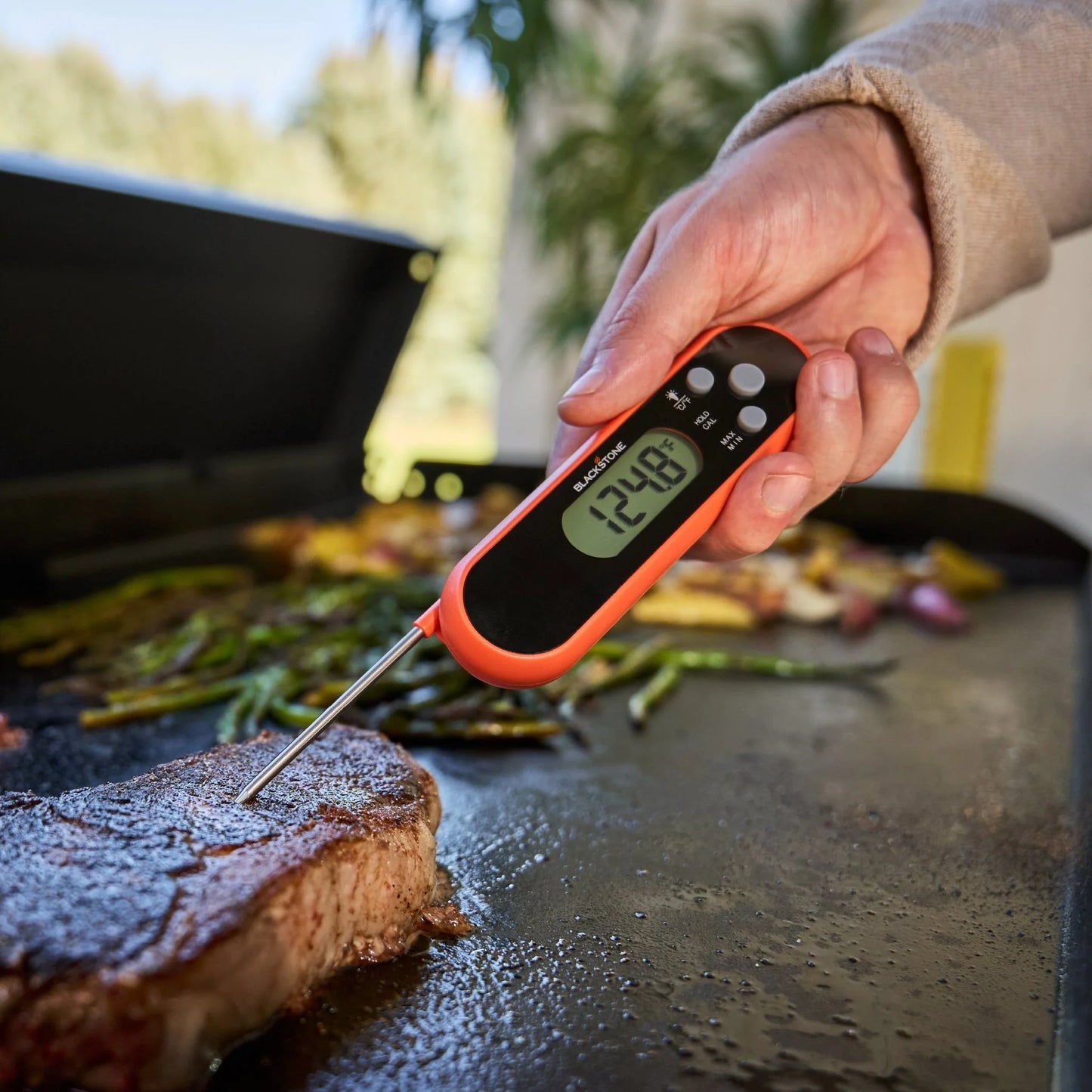 Folding Probe Thermometer