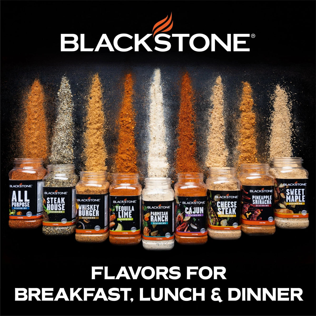 All Purpose Seasoning