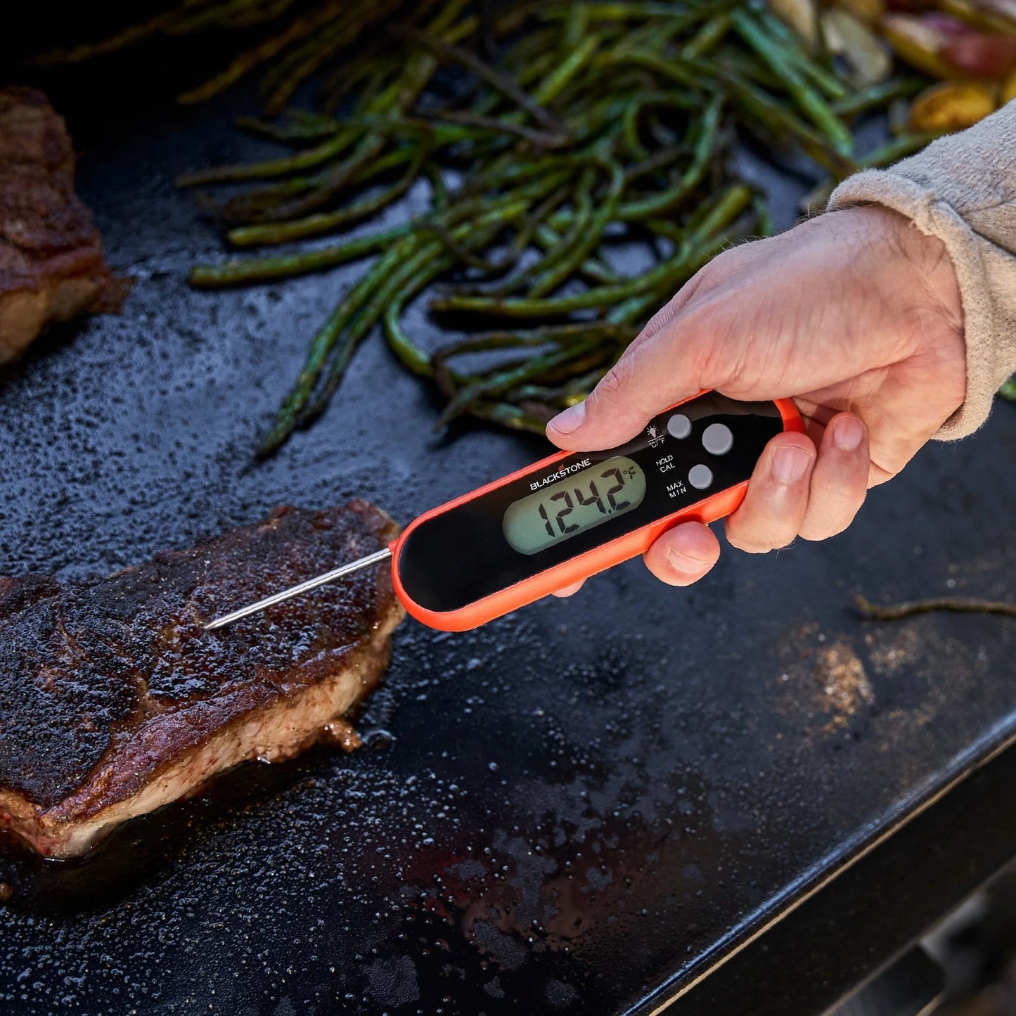 Folding Probe Thermometer
