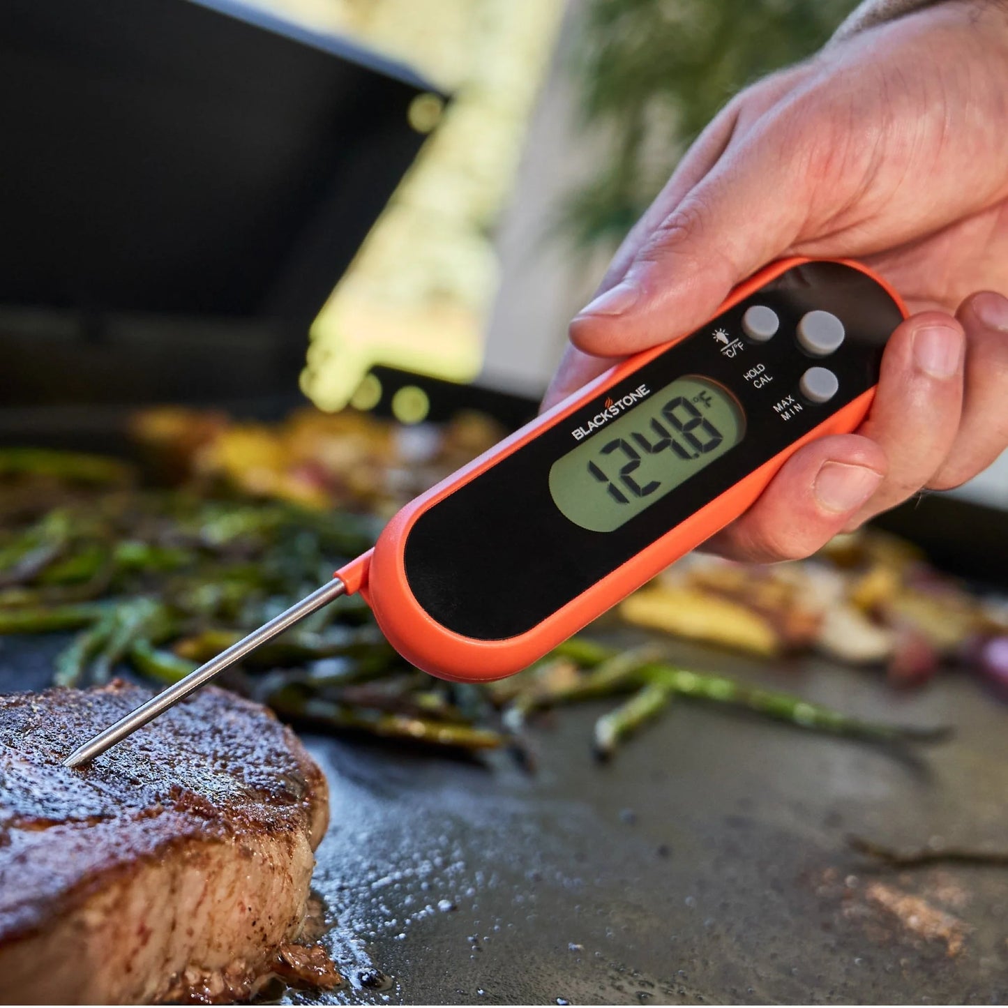 Folding Probe Thermometer